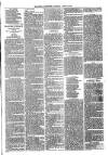 Ballymena Advertiser Saturday 19 March 1887 Page 7