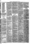 Ballymena Advertiser Saturday 25 June 1887 Page 7