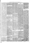 Ballymena Advertiser Saturday 24 December 1887 Page 5