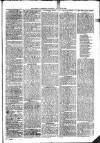 Ballymena Advertiser Saturday 14 January 1888 Page 3