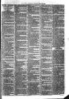 Ballymena Advertiser Saturday 31 March 1888 Page 7