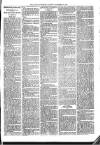 Ballymena Advertiser Saturday 24 November 1888 Page 7