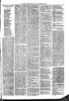 Ballymena Advertiser Saturday 29 December 1888 Page 3