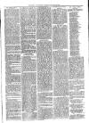 Ballymena Advertiser Saturday 12 January 1889 Page 3