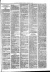 Ballymena Advertiser Saturday 19 January 1889 Page 7