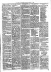 Ballymena Advertiser Saturday 09 March 1889 Page 3