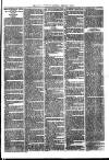Ballymena Advertiser Saturday 08 February 1890 Page 7