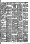 Ballymena Advertiser Saturday 01 March 1890 Page 3