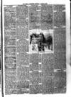 Ballymena Advertiser Saturday 03 January 1891 Page 3