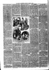 Ballymena Advertiser Saturday 14 March 1891 Page 6
