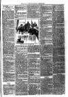 Ballymena Advertiser Saturday 13 June 1891 Page 7