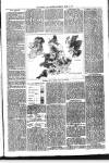 Ballymena Advertiser Saturday 25 June 1892 Page 7