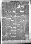 Cavan Weekly News and General Advertiser Friday 25 June 1880 Page 3