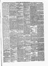 Cavan Weekly News and General Advertiser Friday 14 March 1884 Page 3