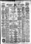 Clonmel Chronicle Saturday 24 April 1869 Page 1