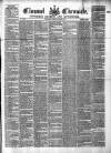 Clonmel Chronicle Wednesday 23 June 1875 Page 1