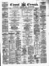 Clonmel Chronicle Saturday 14 April 1877 Page 1