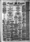 Clonmel Chronicle Saturday 11 August 1877 Page 1