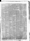 Clonmel Chronicle Saturday 17 August 1878 Page 3