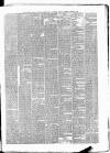 Clonmel Chronicle Saturday 24 August 1878 Page 3