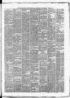 Clonmel Chronicle Saturday 12 October 1878 Page 3