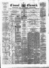 Clonmel Chronicle Wednesday 21 January 1880 Page 1