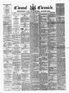 Clonmel Chronicle Wednesday 10 March 1880 Page 1