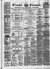 Clonmel Chronicle Saturday 28 January 1882 Page 1