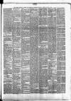 Clonmel Chronicle Wednesday 29 January 1890 Page 3