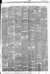 Clonmel Chronicle Wednesday 23 April 1890 Page 3