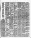 Cork Daily Herald Saturday 22 May 1858 Page 3