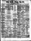 Cork Daily Herald Wednesday 15 November 1865 Page 1