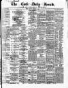 Cork Daily Herald Friday 03 August 1866 Page 1