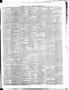 Cork Daily Herald Wednesday 13 February 1867 Page 3