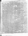 Cork Daily Herald Saturday 18 May 1867 Page 3