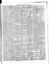 Cork Daily Herald Thursday 13 June 1867 Page 3