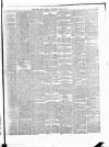 Cork Daily Herald Saturday 22 June 1867 Page 3