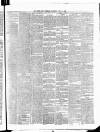Cork Daily Herald Saturday 13 July 1867 Page 3
