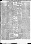 Cork Daily Herald Thursday 19 September 1867 Page 3