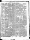 Cork Daily Herald Thursday 03 October 1867 Page 3