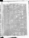 Cork Daily Herald Thursday 24 October 1867 Page 3