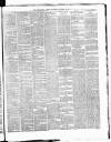 Cork Daily Herald Saturday 26 October 1867 Page 3