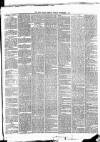 Cork Daily Herald Friday 01 November 1867 Page 3