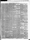 Cork Daily Herald Friday 10 April 1868 Page 2