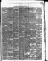 Cork Daily Herald Thursday 11 March 1869 Page 3
