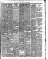 Cork Daily Herald Wednesday 24 March 1869 Page 3