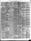 Cork Daily Herald Tuesday 15 June 1869 Page 3