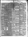 Cork Daily Herald Monday 08 November 1869 Page 3