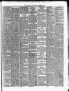 Cork Daily Herald Tuesday 23 November 1869 Page 3