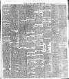 Cork Daily Herald Saturday 12 March 1870 Page 3